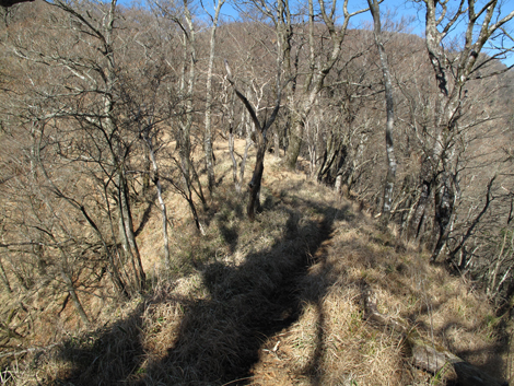 20171207hike (101)